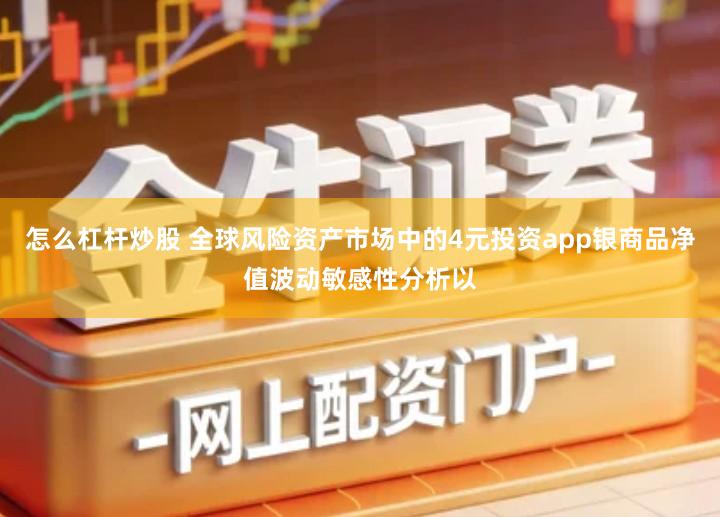 怎么杠杆炒股 全球风险资产市场中的4元投资app银商品净值波动敏感性分析以