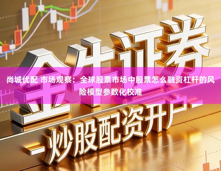 尚城优配 市场观察：全球股票市场中股票怎么融资杠杆的风险模型参数化校准